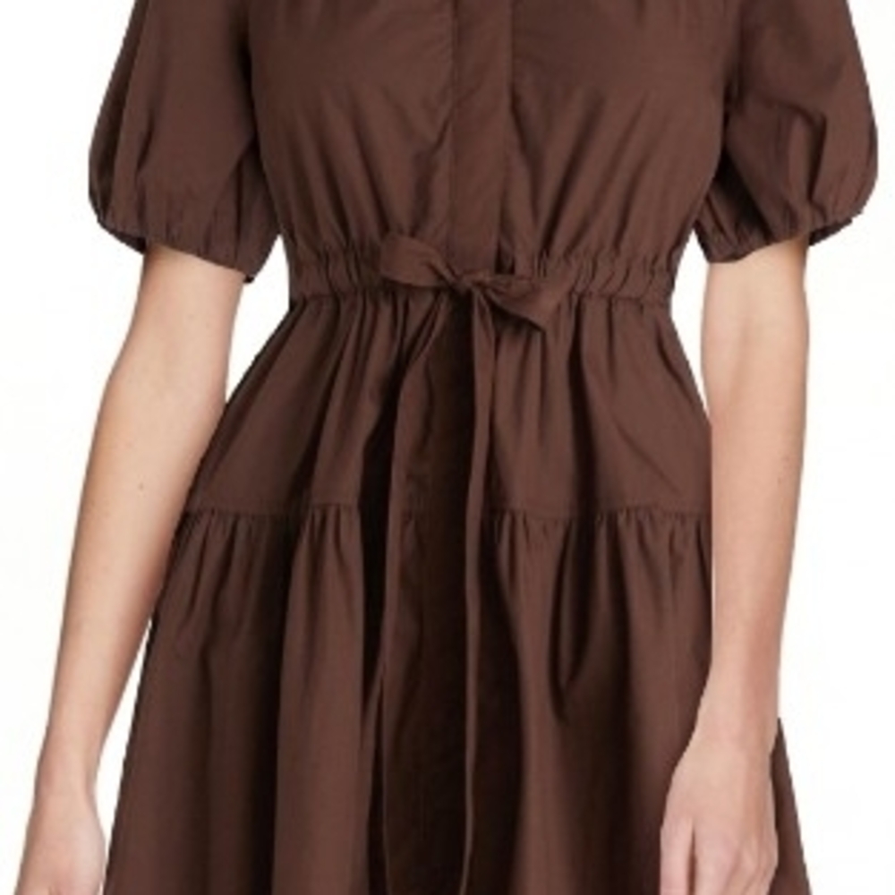 Elegant Brown Puff Sleeve Dress